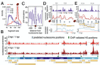 Time resolved changes of Adenovirus chromatin structure